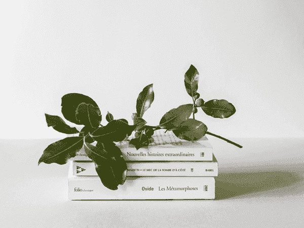 短信验证码轰炸