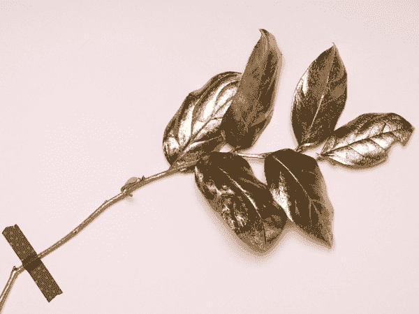 短信验证码轰炸